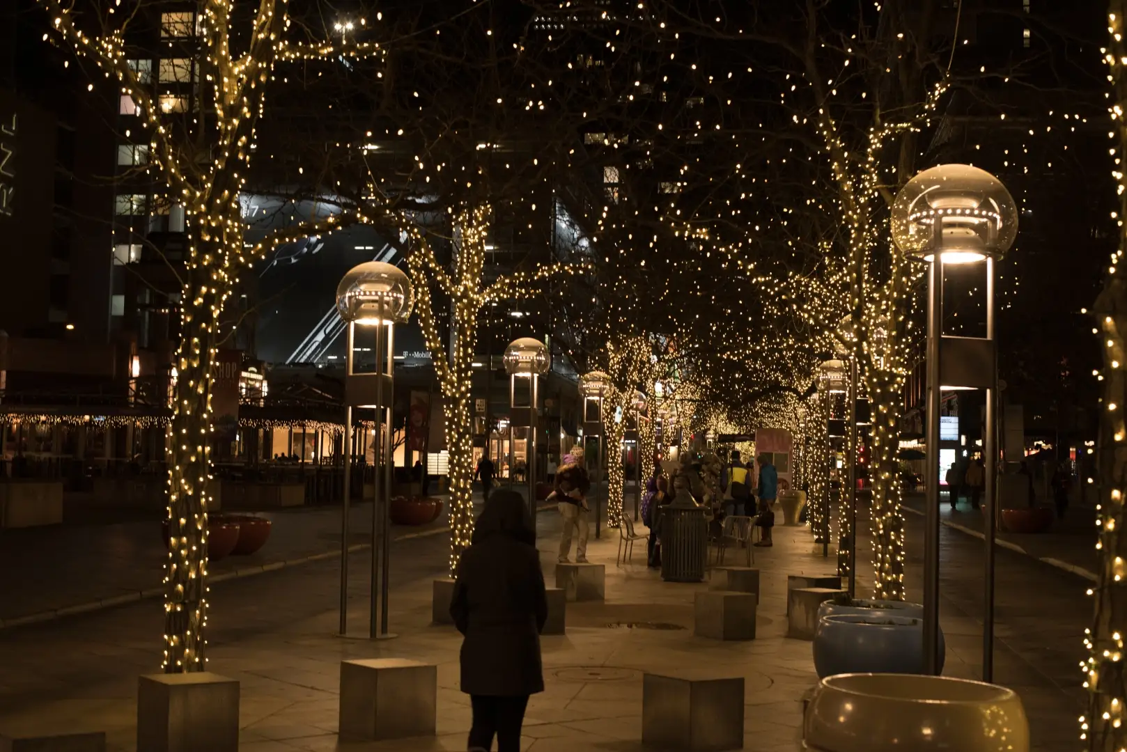 Commercial & Municipal Holiday Displays