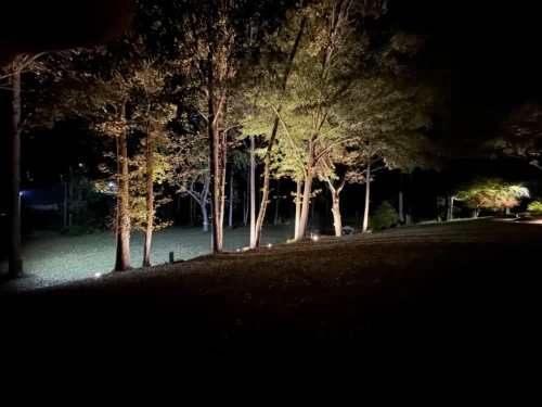 premium landscape lighting design Cramerton