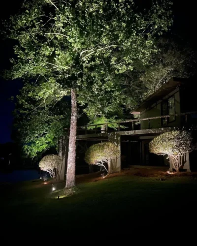 Landscape Lighting