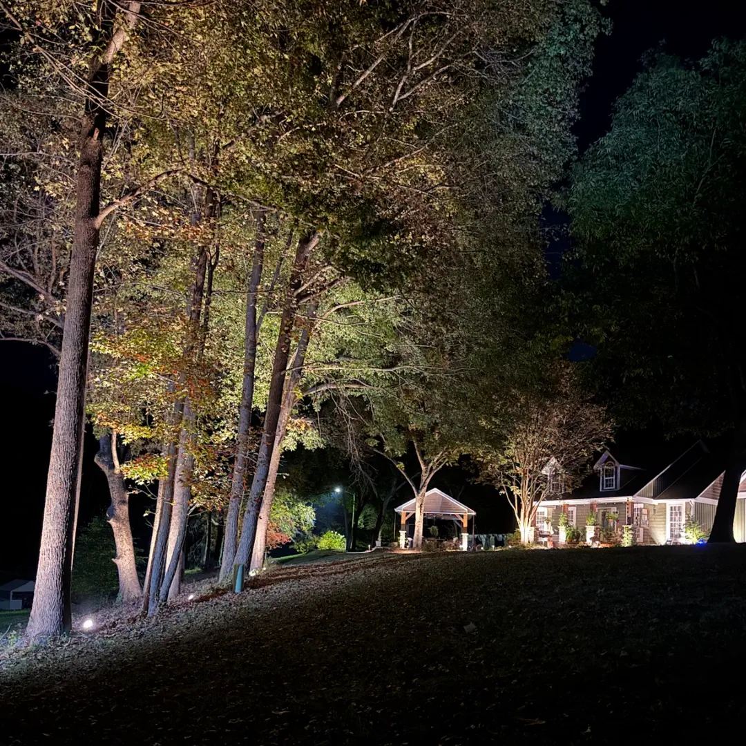 Stunning Landscape Lighting Transformation in Dallas, NC