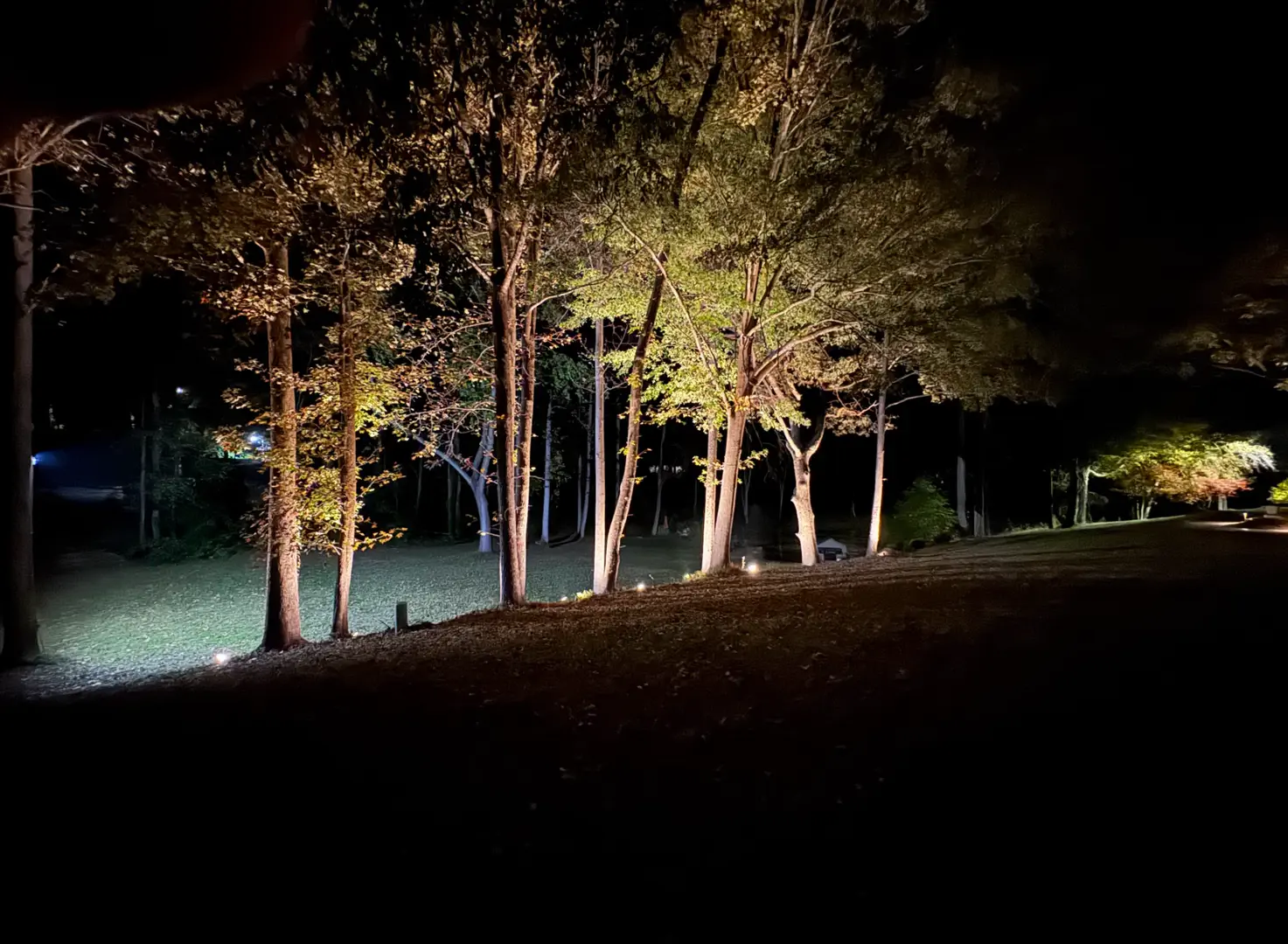 Stunning Landscape Lighting Transformation in Dallas, NC