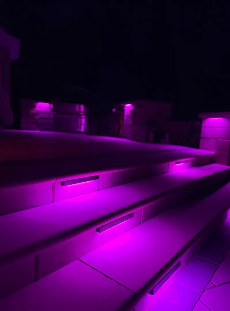 Versatile Color-Changing Landscape and Permanent Holiday Lighting in Charlotte