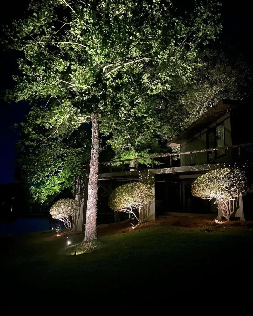 Stunning Backyard Landscape Lighting Makeover in Waxhaw, NC