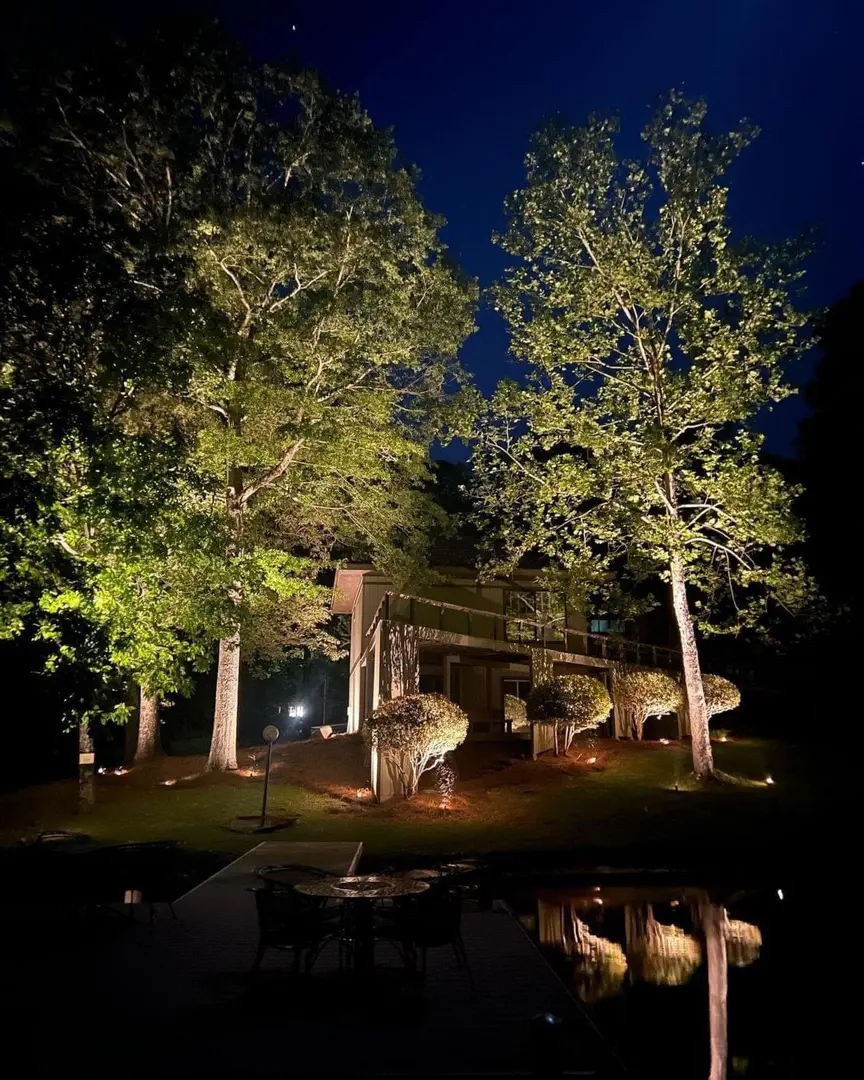 Stunning Backyard Landscape Lighting Makeover in Waxhaw, NC
