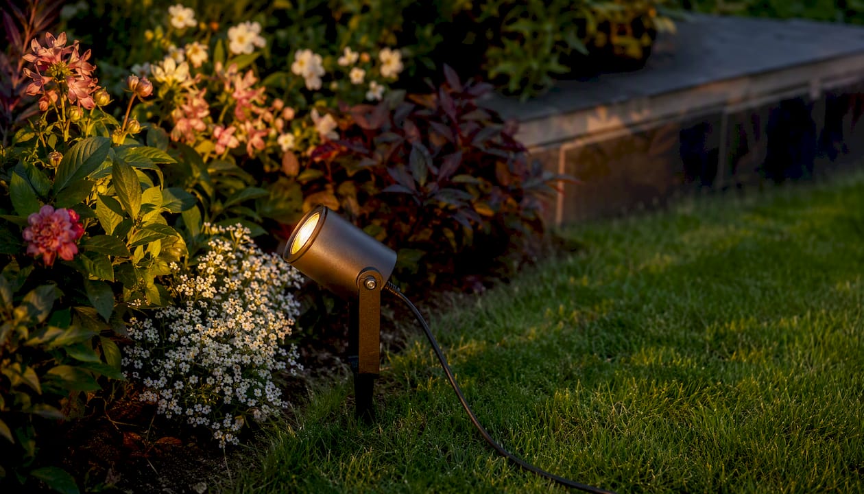 Outdoor Spotlight Types: A Homeowner's Complete Guide Low-voltage 12V stake spotlight near garden shrub