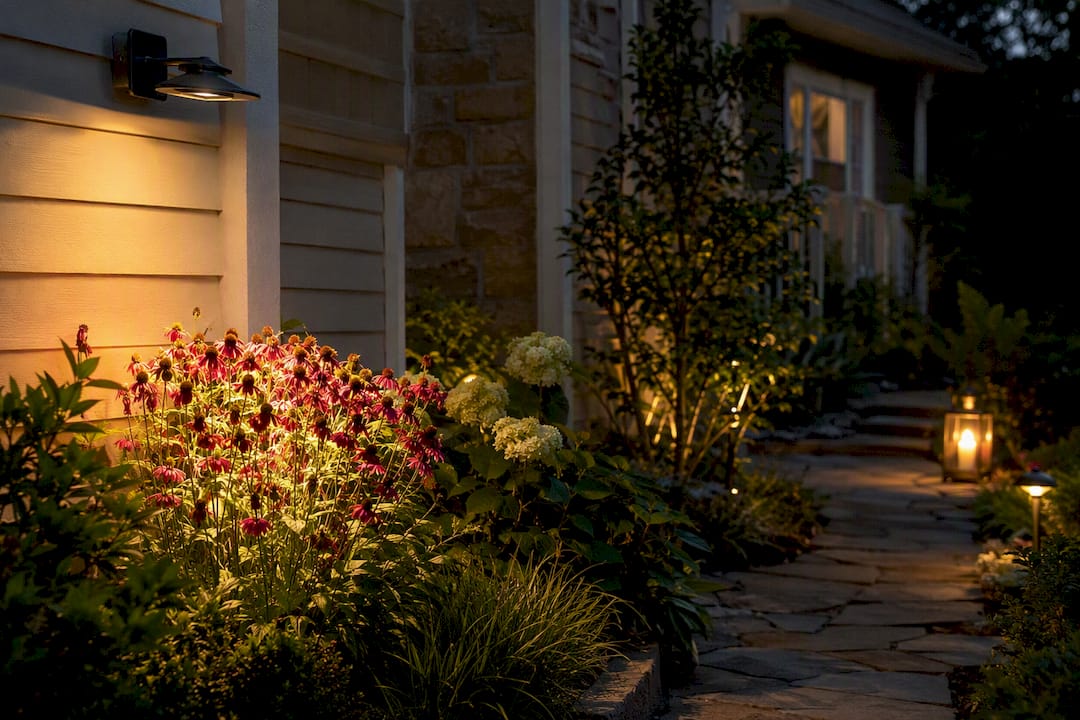 What Beam Angle Means for Outdoor Lighting Coverage Outdoor LED spotlight illuminating a small tree trunk
