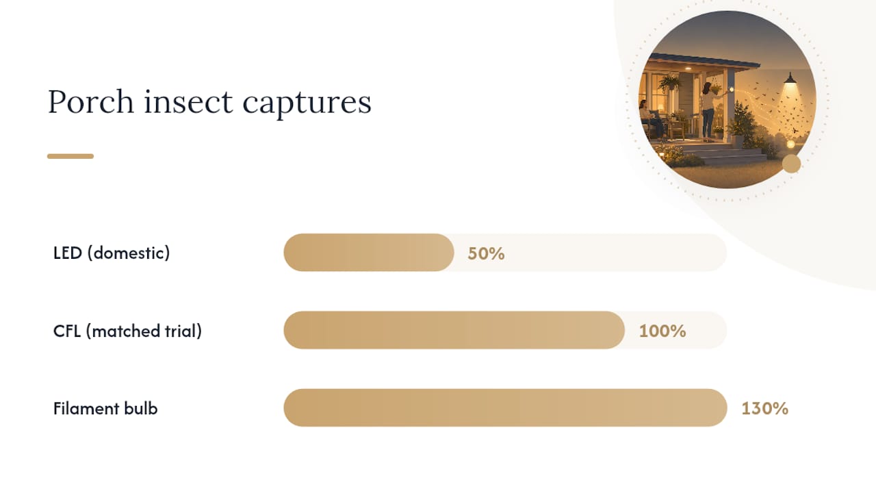 Comparison of insect attraction from three bulb types